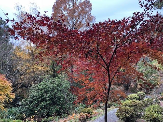 Mount Lofty Botanic Garden